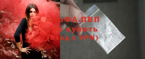 стаф Бородино