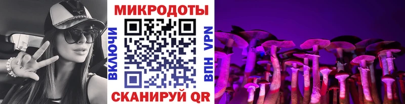 Псилоцибиновые грибы Psilocybine cubensis  Кирово-Чепецк 