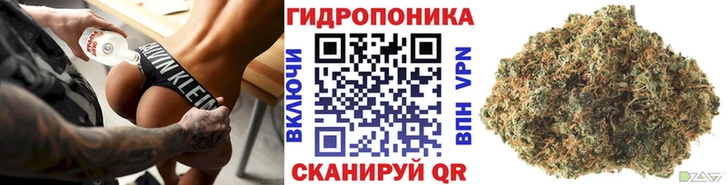 Каннабис OG Kush  хочу   omg   Кирово-Чепецк 